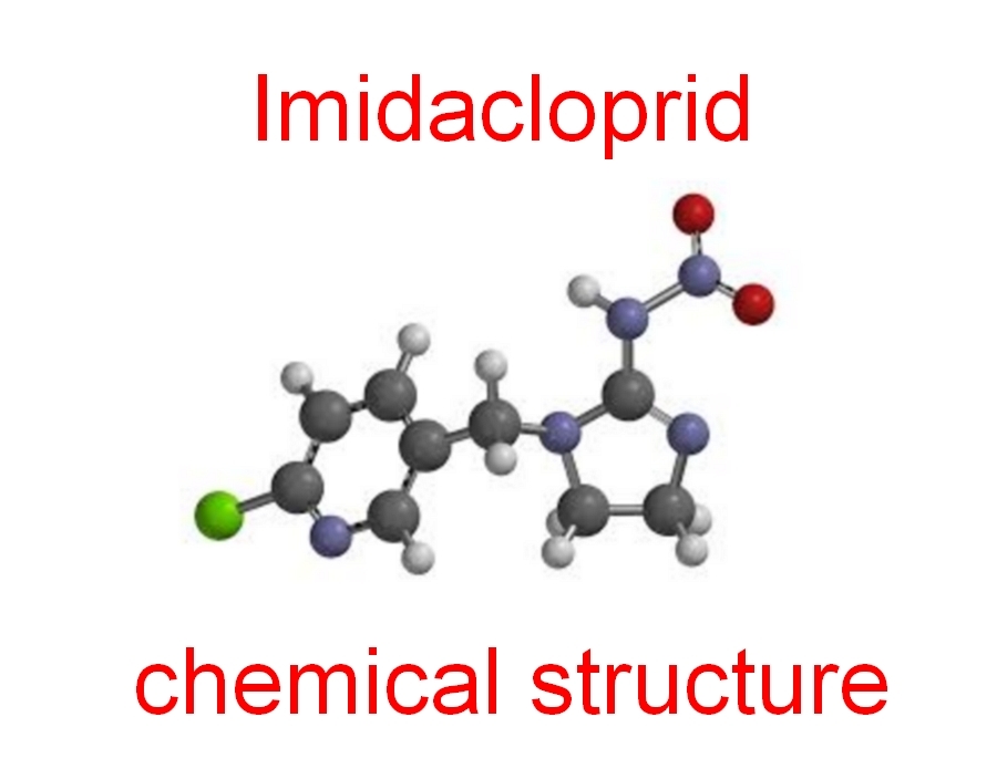 Какво е имидаклоприд и как се използва?