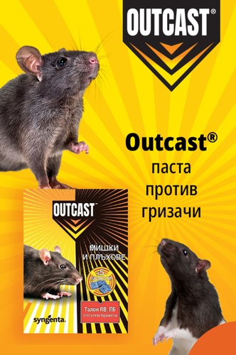 Outcast паста за гризачи - решение за борбата с гризачите